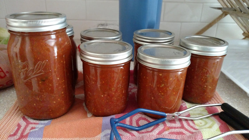 No Peel Tomato Sauce Recipe