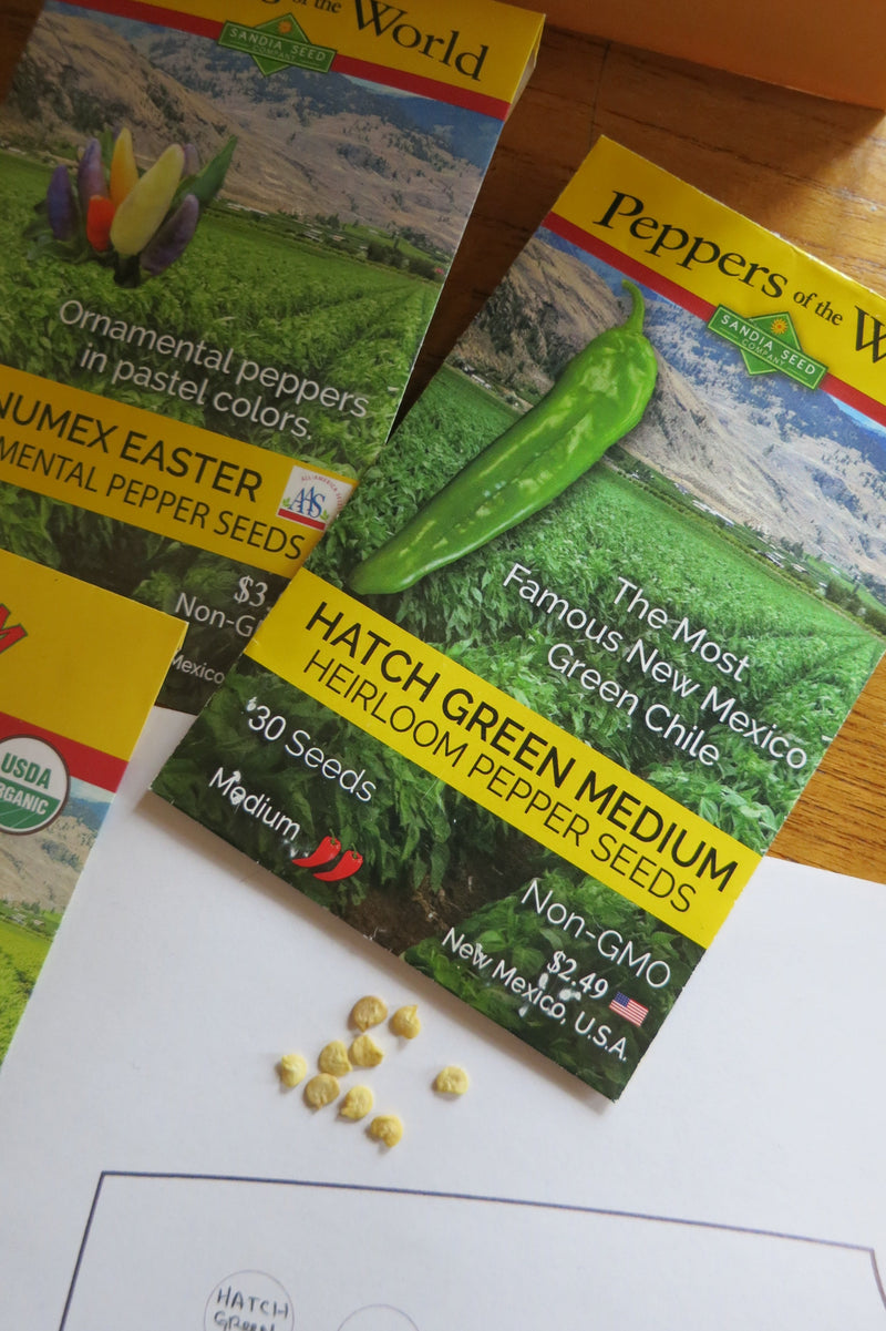 When should I start my Hatch chile seeds? Shown: Heirloom Hatch chile seeds for summer planting, with seed packets and seedlings on a wooden surface, ideal for gardening