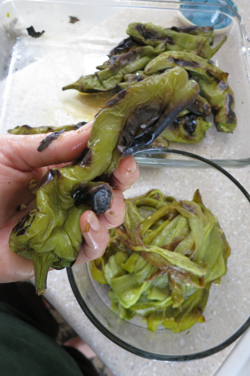 Chilli Seeds for Sale