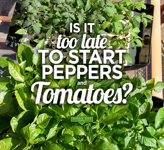 Is it too late to start tomatoes and peppers?