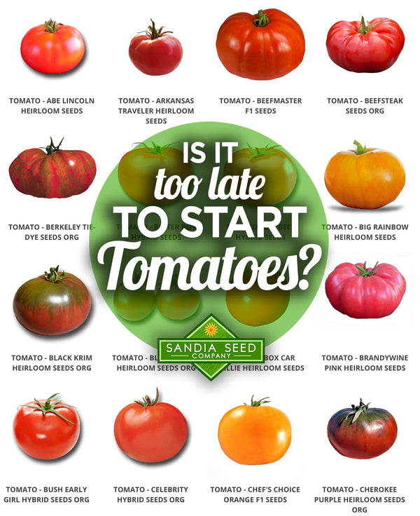 Is it too late to plant tomato seeds?