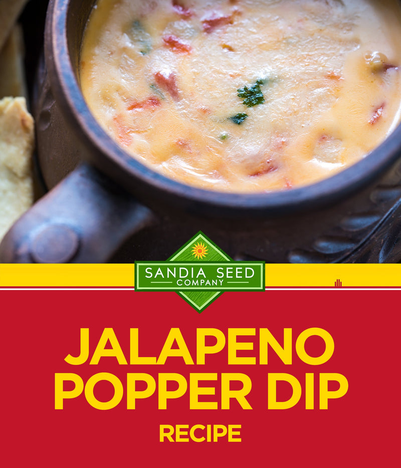 Jalapeño Popper Dip Recipe 

