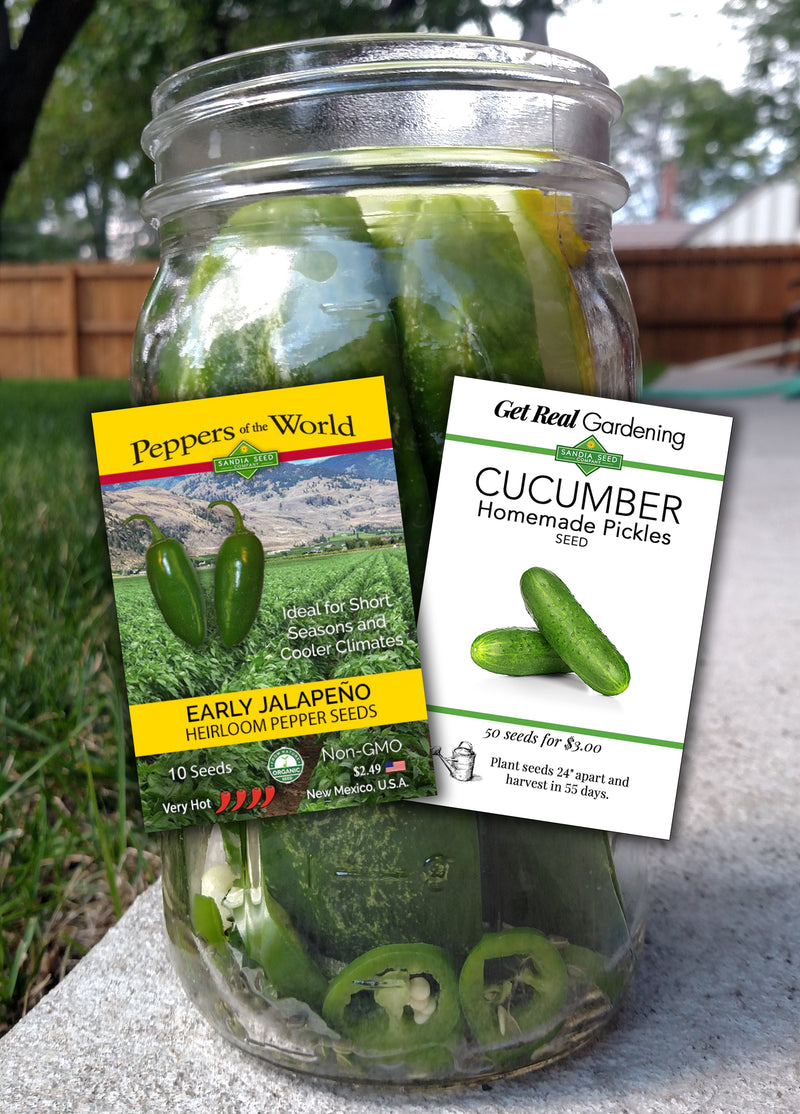 Spicy Refrigerator Pickles Recipe