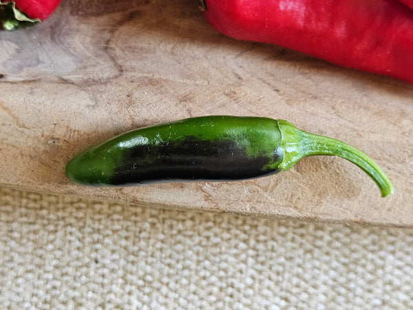 Jalapenos Turning Black?