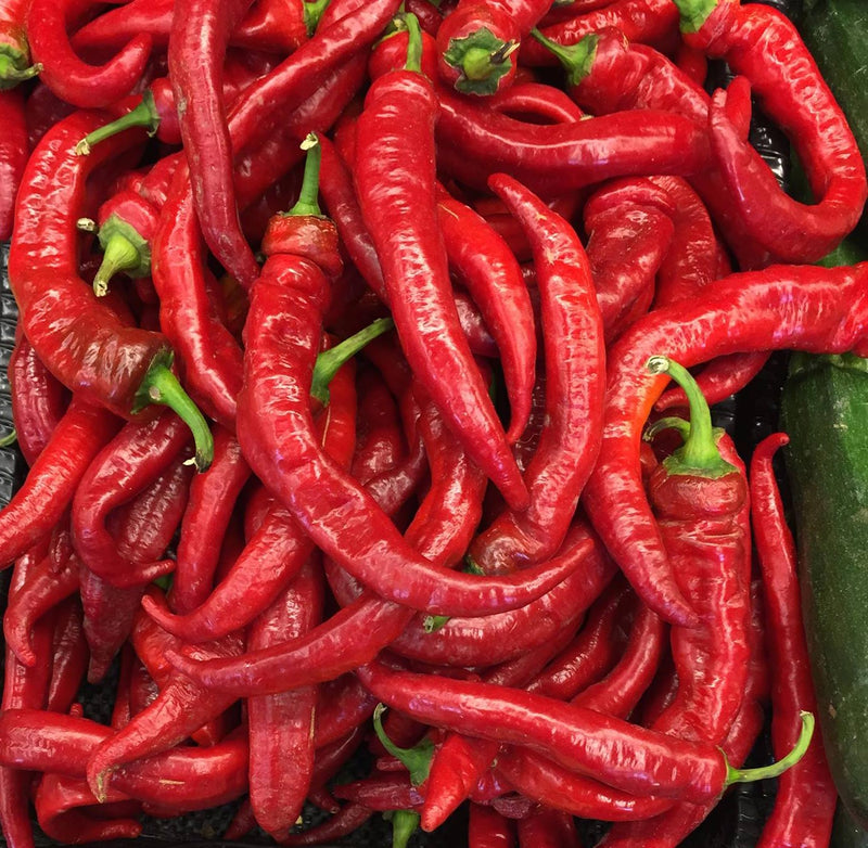 Vibrant red disease-resistant peppers with long, curved shapes, ideal for culinary use and resistant to common plant diseases.