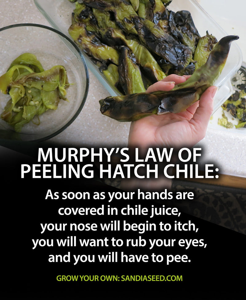 Murphy's Law of Peeling Chile: As soon as your hands are covered in chile juice, your nose will begin to itch, you will want to rub your eyes, and you will have to pee.


