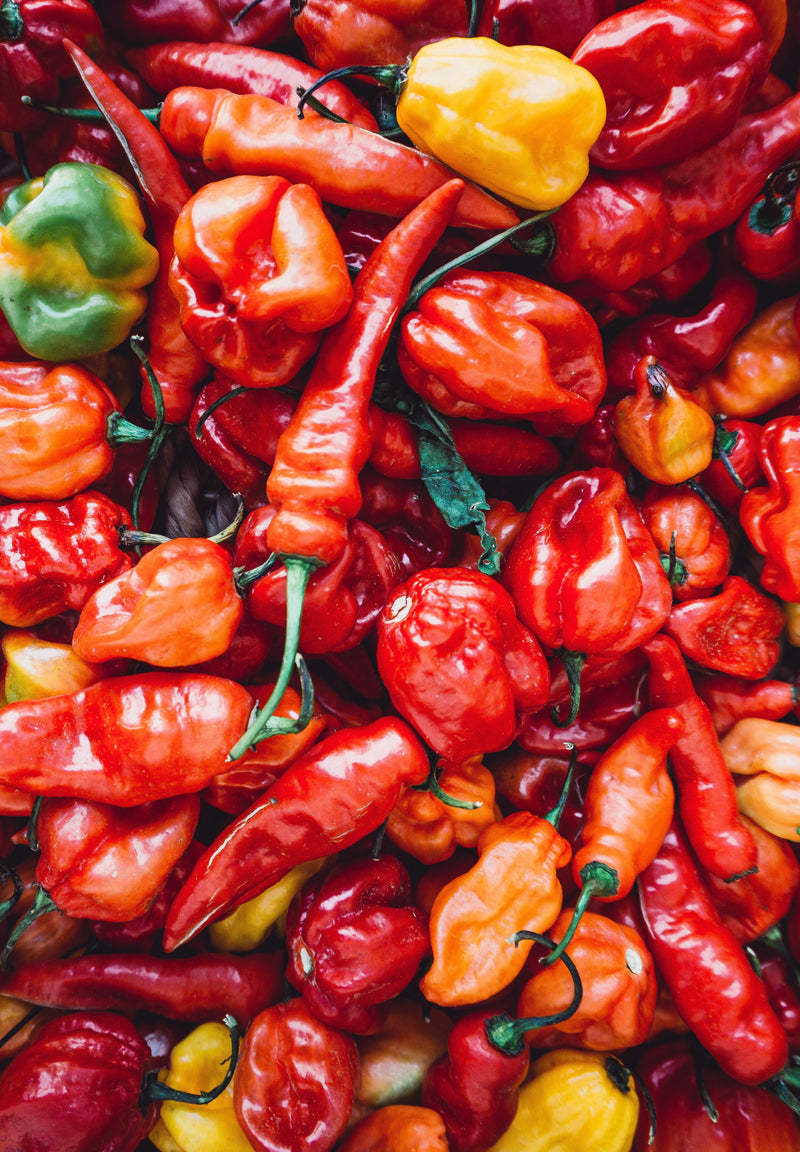 Colorful assortment of hot peppers, including red, orange, yellow, and green varieties, showcasing the hottest peppers of 2022 for spicy food enthusiasts.