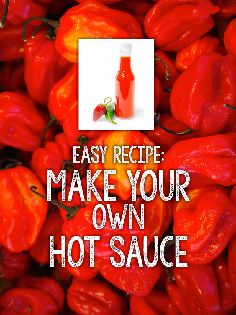 Grow Your Own Hot Sauce

