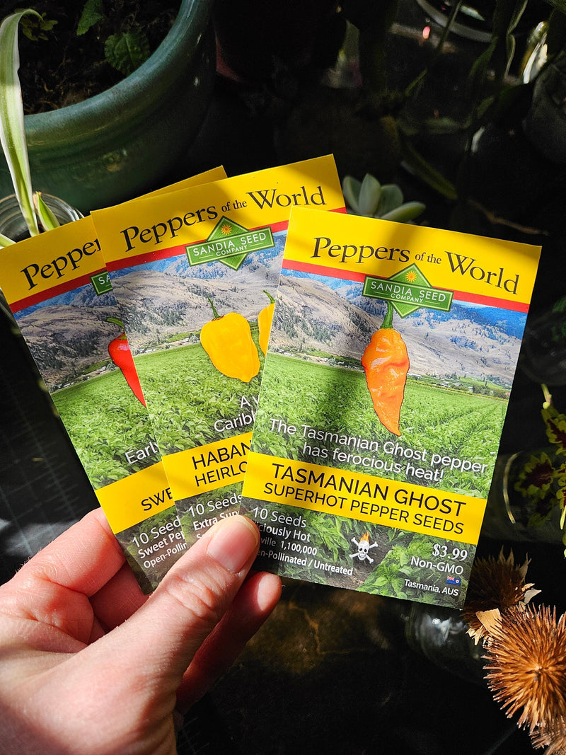 New Pepper Seeds: A close-up of seed packets for Tasmanian Ghost and other Pepper Seeds from Sandia Seed Company, featuring vibrant images of yellow and orange peppers