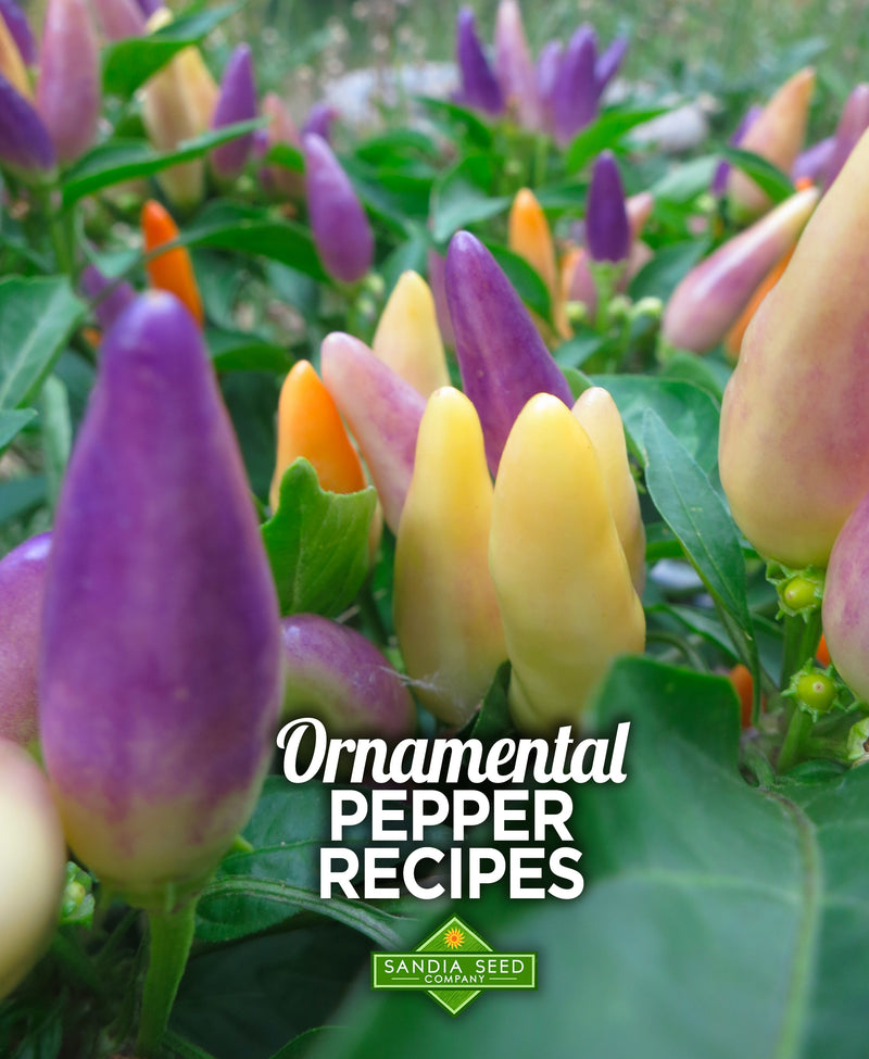 Ornamental Pepper Recipes - shown with Easter Peppers