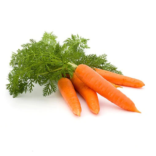 Problems growing carrots?
