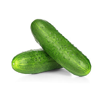 Illustration of fresh green cucumbers, ideal for planting when growing cucumbers, emphasizing the importance of timing for planting cucumber seeds.