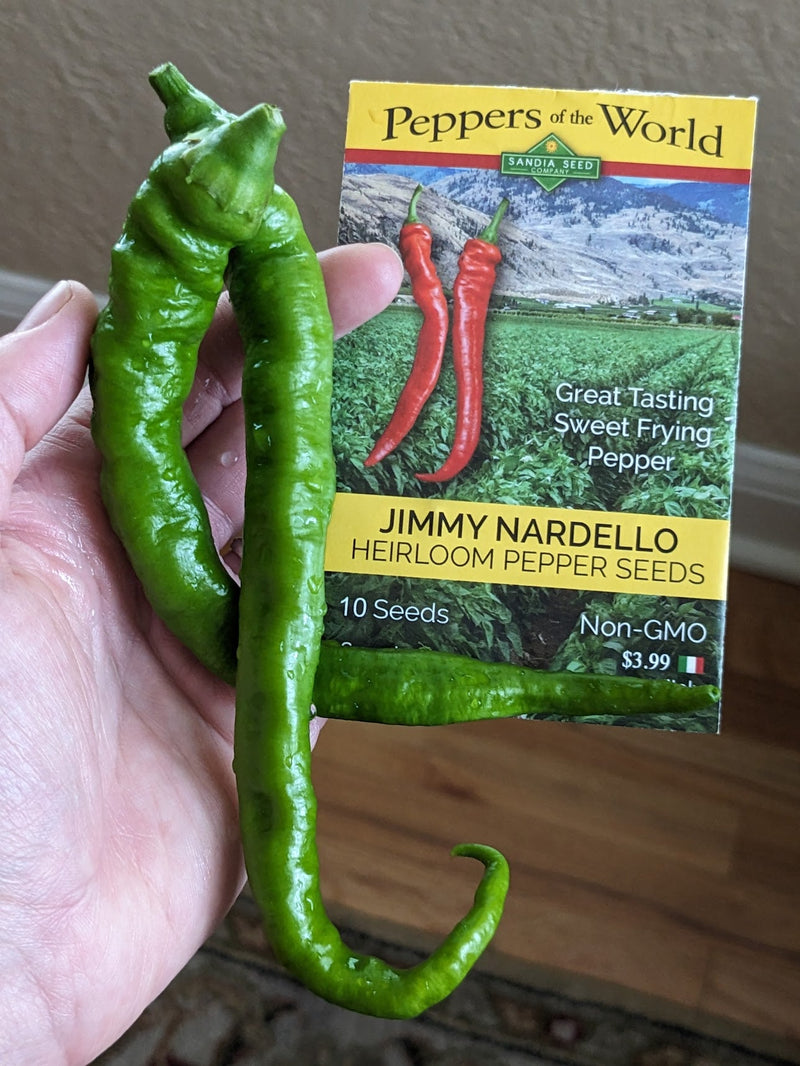 A close-up of vibrant green Jimmy Nardello peppers and seed packet, highlighting heirloom pepper care and planting tips for home gardening.