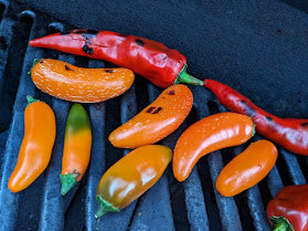 Colorful roasted jalapenos, red chili, and orange peppers arranged on a grill, highlighting ingredients for a spicy roasted jalapeno hot sauce recipe.