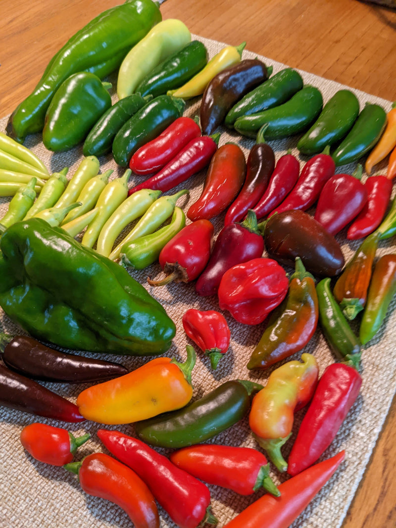 Types of Hot Peppers