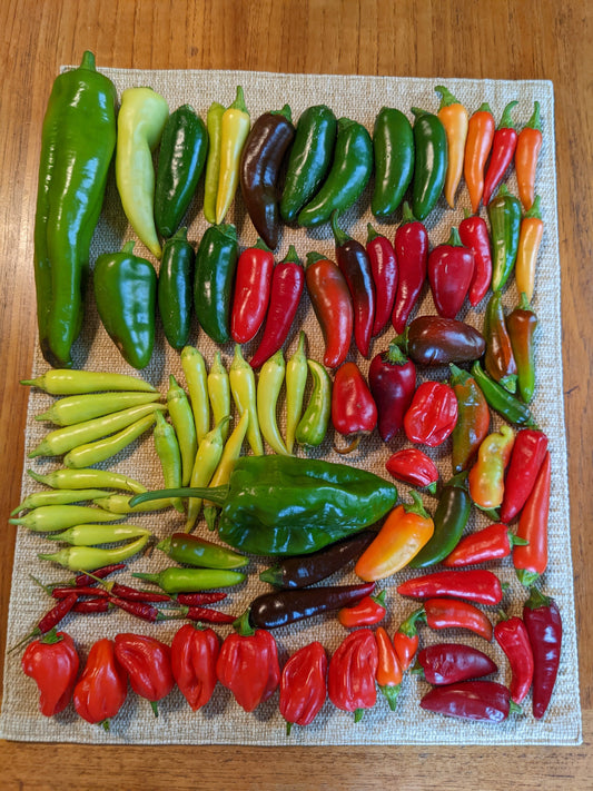 How to Grow Peppers from Seed