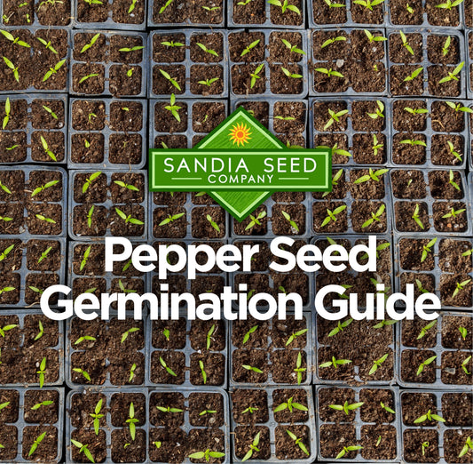 Pepper Seed Germination Guide