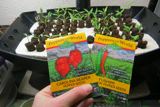 When to Plant Pepper Seeds