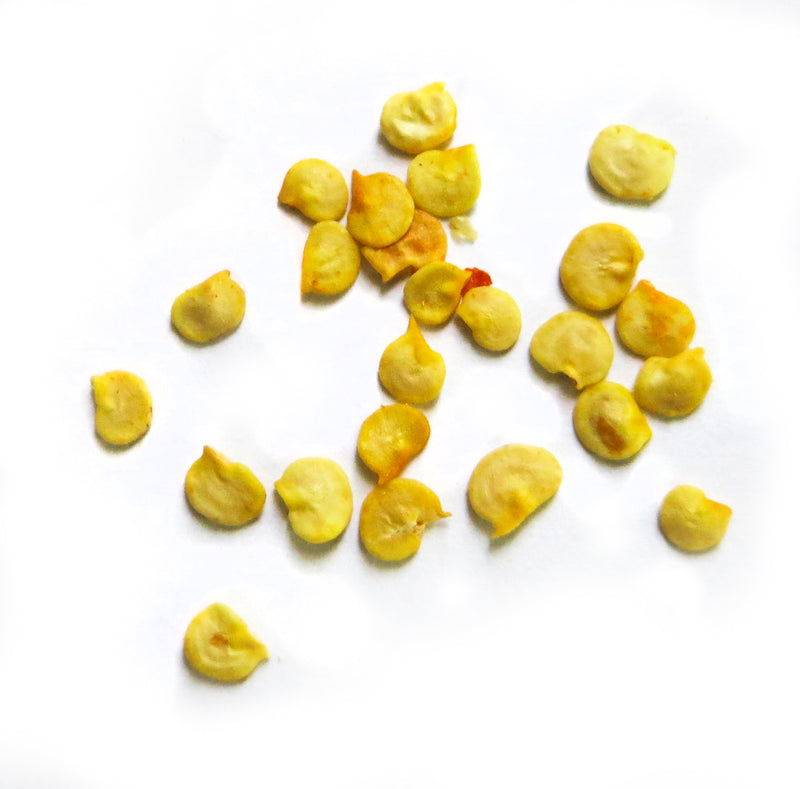 How deep should I plant my seeds?