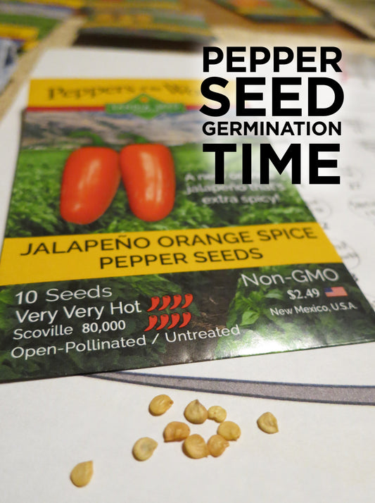 Pepper Seed Germination Time