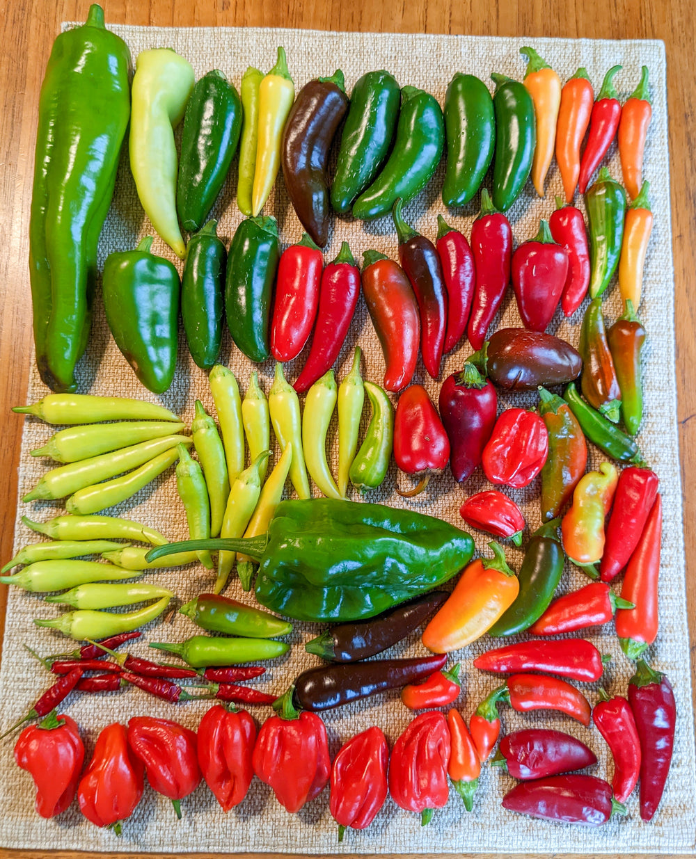 Fresh vs Dried Pepper Names – Sandia Seed Company