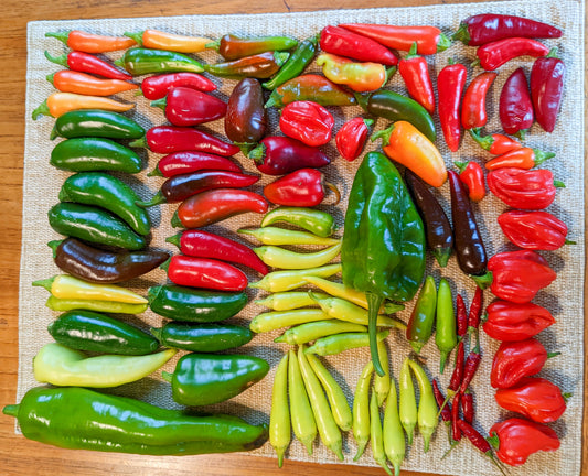 What to do with a lot of Peppers? 28+ Ideas for your peppers