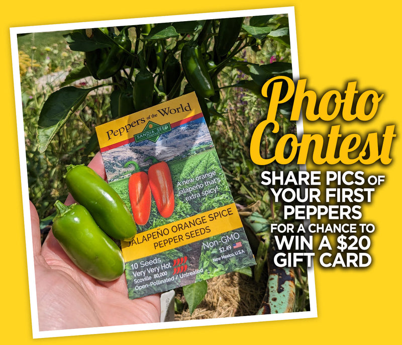 First Peppers Photo Contest