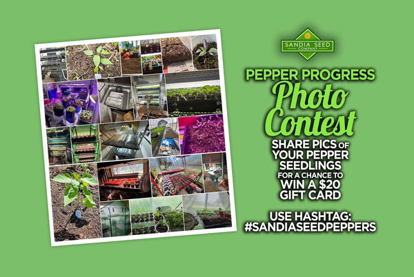 WIN FREE SEEDS: in our Pepper Progress Photo Contest