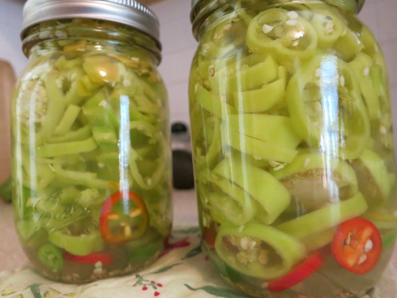 Peppers for Pickling