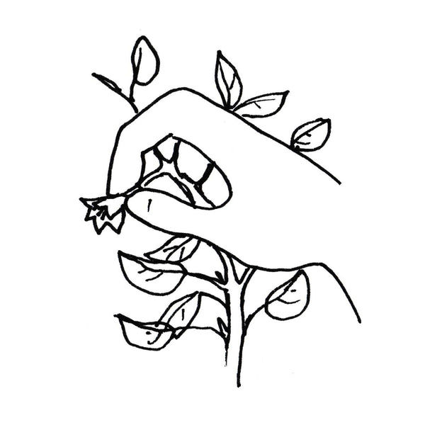 How to Prune Pepper Plants for Maximum Yield