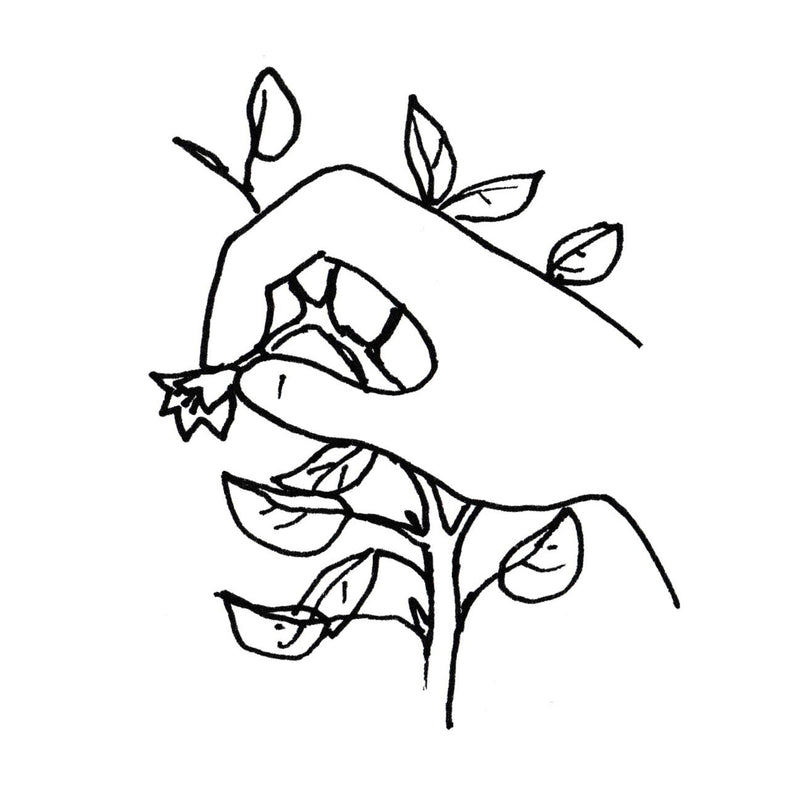 How to Prune Pepper Plants for Maximum Yield