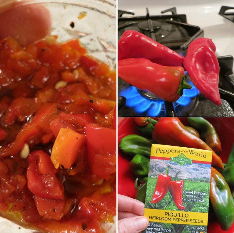 Where can I buy Piquillo pepper seeds? Piquillo peppers: including fresh peppers on a stove, a jar of roasted peppers, and a seed packet for Piquillo heirloom pepper seeds, highlighting where to buy Piquillo pepper seeds for gardening.