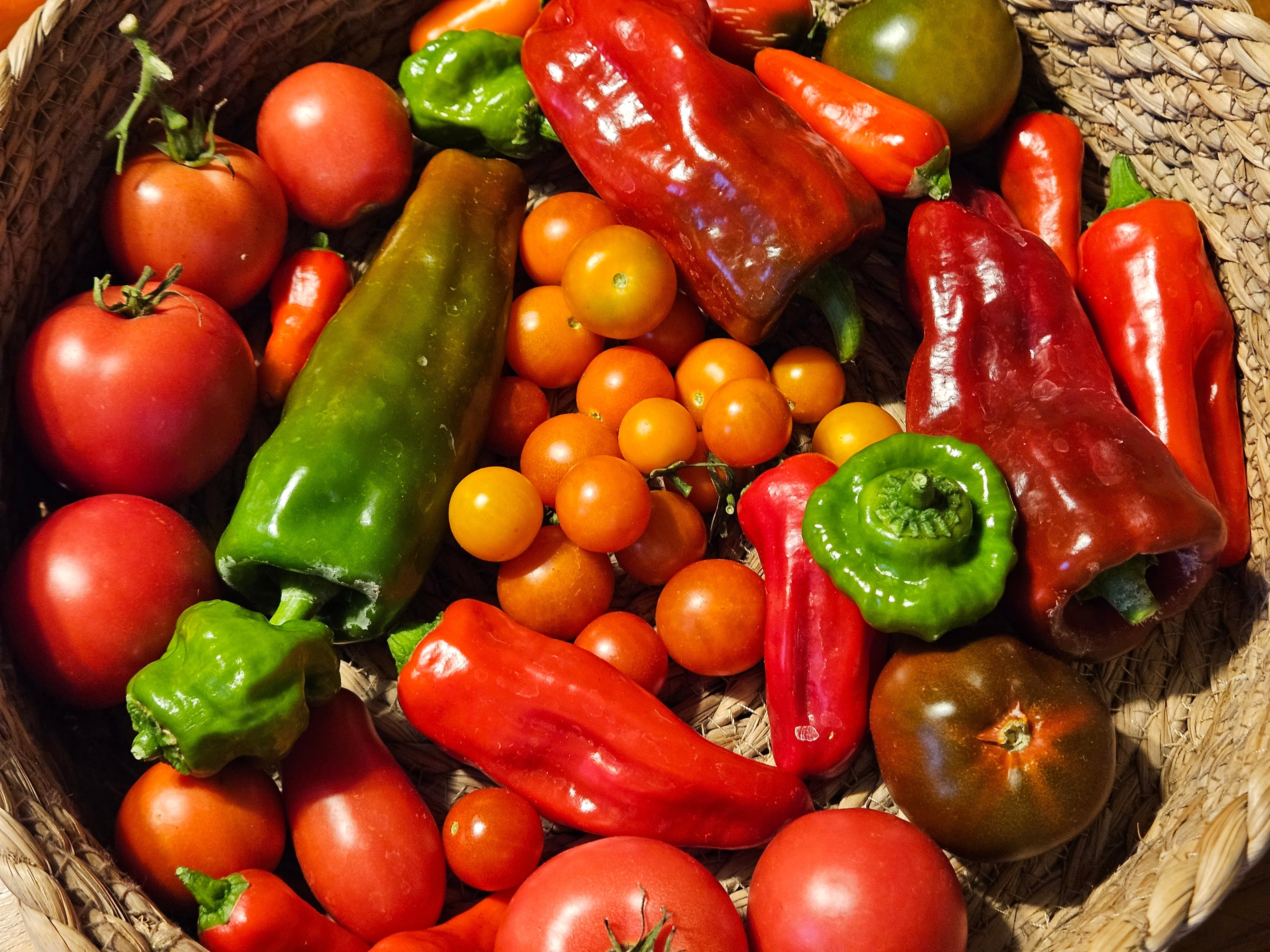 Zapotec Pleated Tomato Seeds - Heirloom from Mexico – Sandia Seed