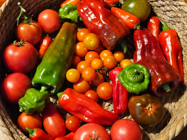 Freeze Warning? Here's what to do in your Garden: Pre-Frost harvest of tomatoes and peppers