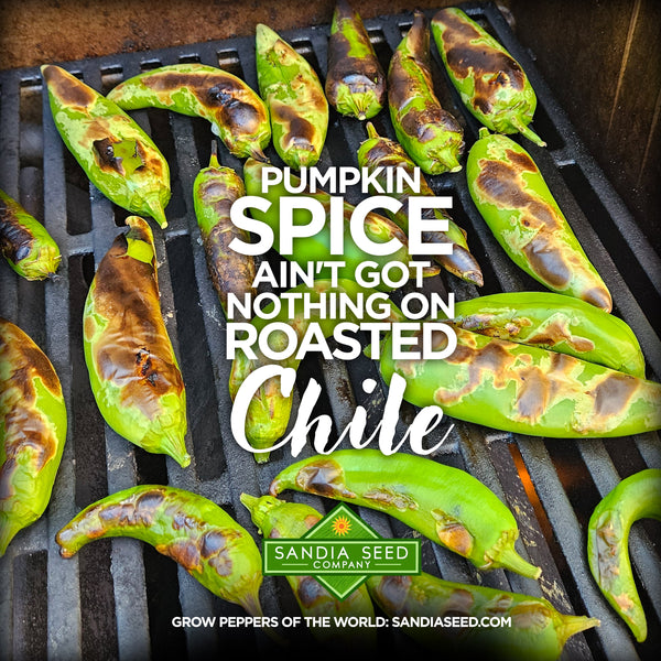 Pumpkin Spice Ain't Got Nothing on Roasted Chile!