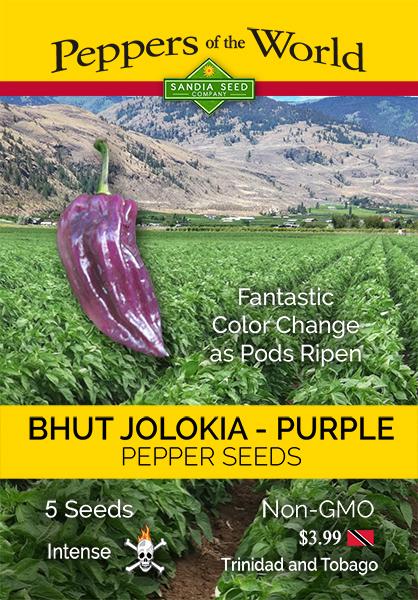 Chili Pepper Seeds for Sale - Purple Bhut Jolokia Seed Packet

