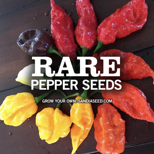 Rare Pepper Seeds