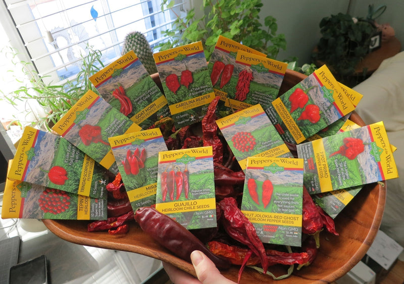 Red Pepper Seeds - Seed Packets for Red Chile seeds among dried red peppers

