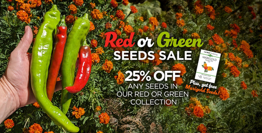 Red or Green Chile Sale!
