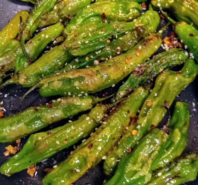 Shishito Recipe

