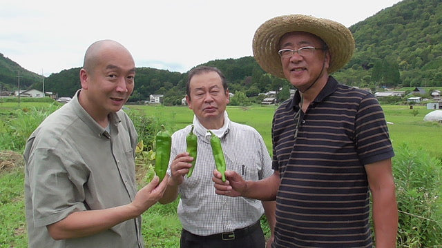 Growing Chile Seeds in Japan:  Three Gardeners in Japan
