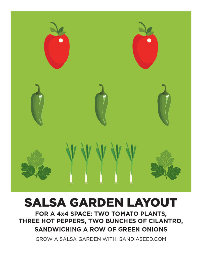 Salsa Garden Layout