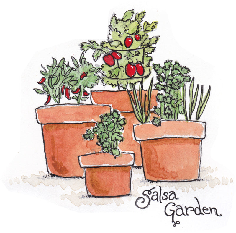 Container Salsa Garden