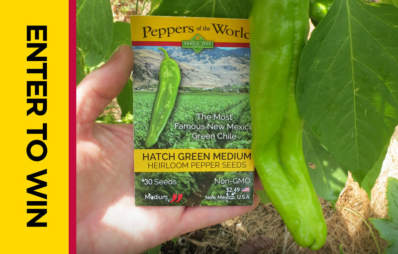 Spring 2023 Seed Contest