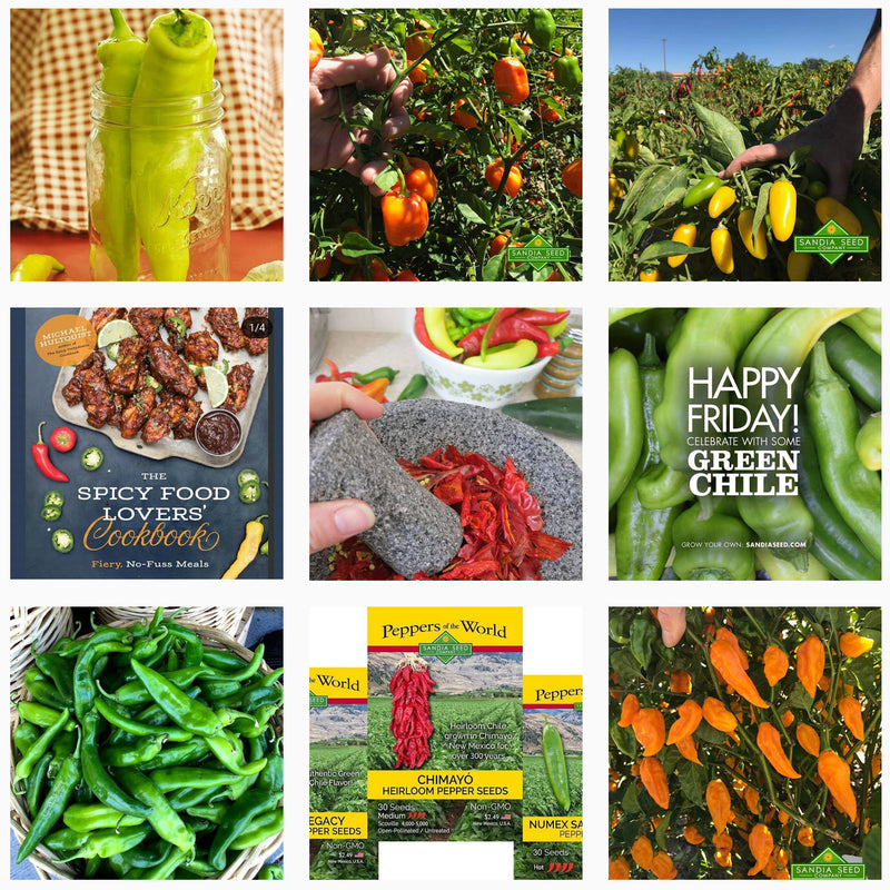 Instagram T-Shirt Winners