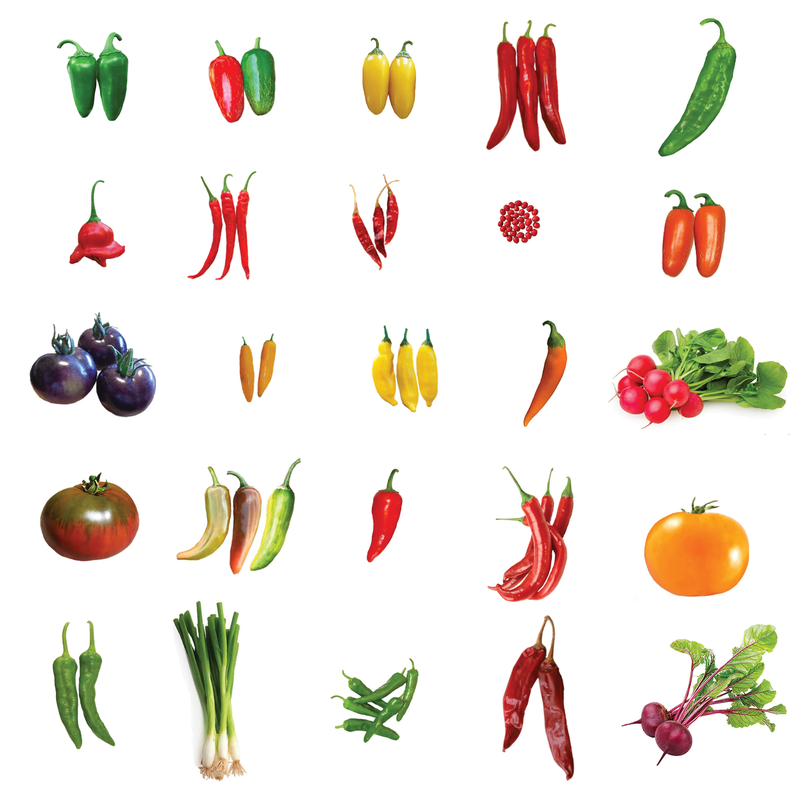 Seeds with Free Shipping