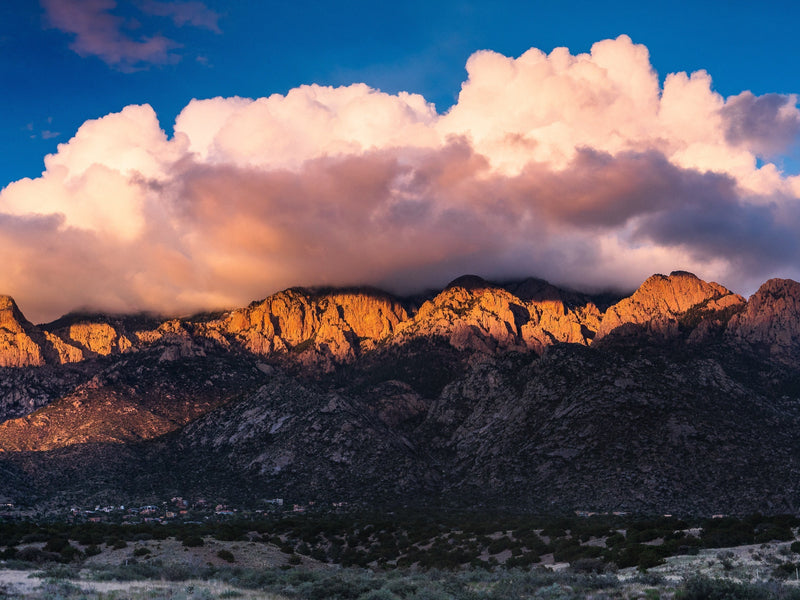 Why are we named Sandia Seed? Our name comes from the New Mexico Sandia Mountain Range! They were named after watermelons because the massive western granite cliffs reflect a vibrant pink and green glow at sunset, resembling the iconic summer fruit.

