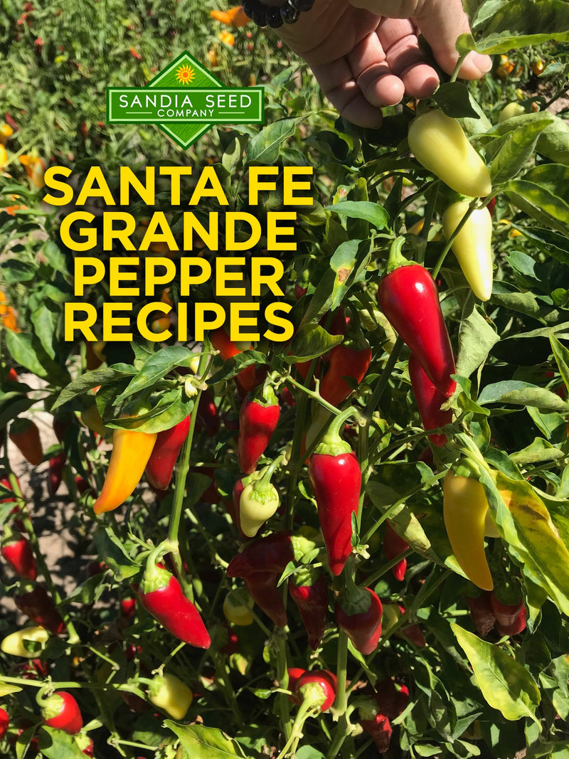 Santa Fe Grande Pepper Recipes

