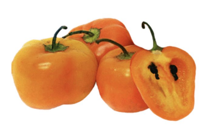 A Pepper for Colder Climates: Rocoto Pepper

