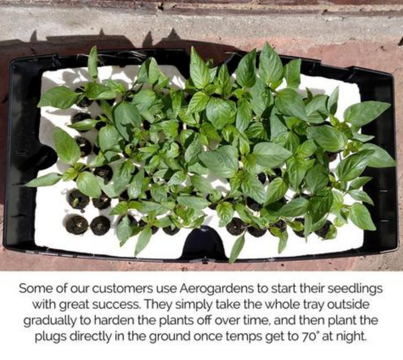 Start Pepper Seeds in your Aerogarden